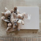 Threadbear Designs Little Bunny Baby Gift Set in Taupe